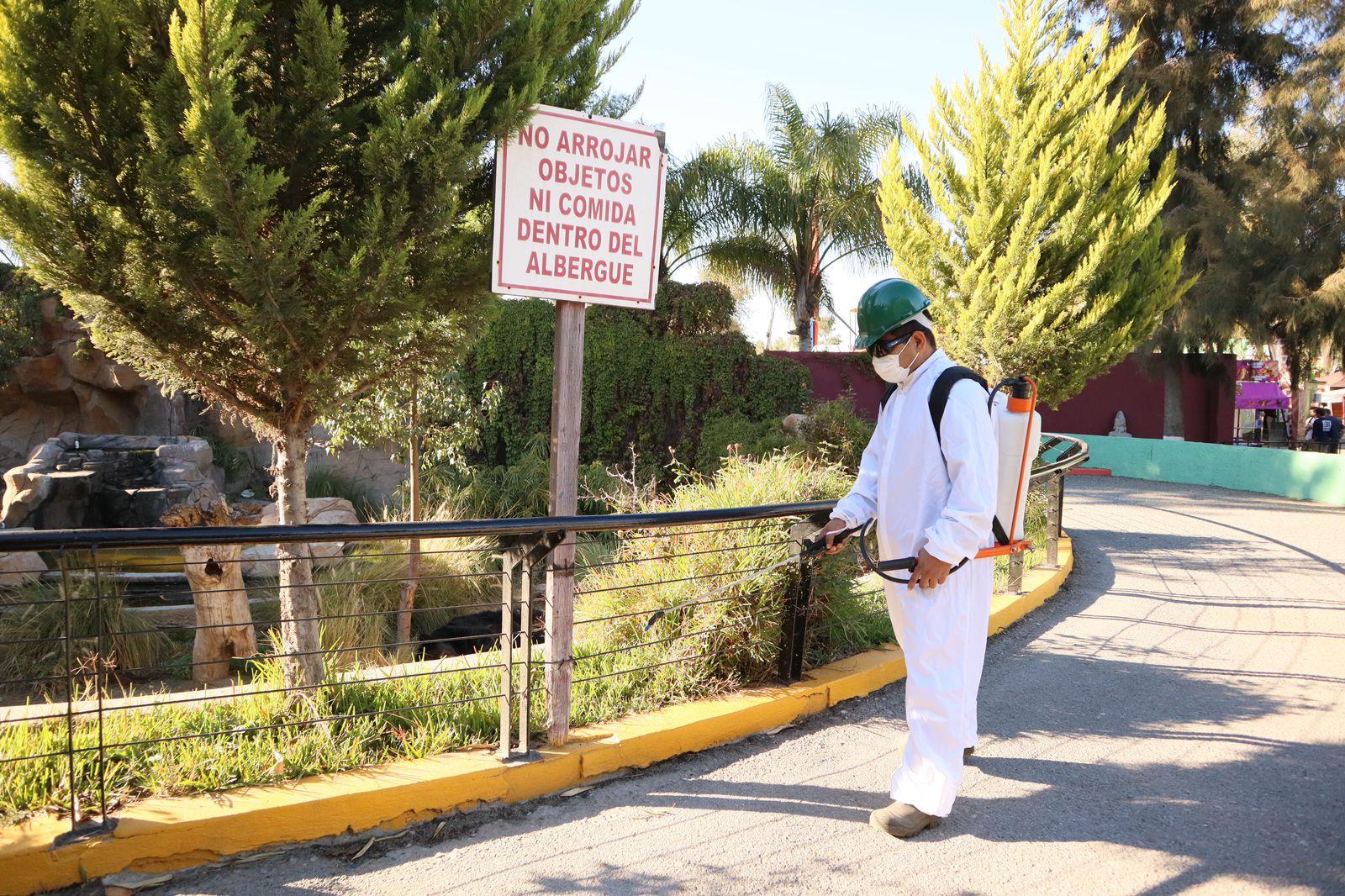 Ayuntamiento fumigará hábitats de animales en Parque Morelos