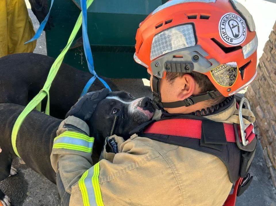 Policías municipales y bomberos rescatan animales maltratados