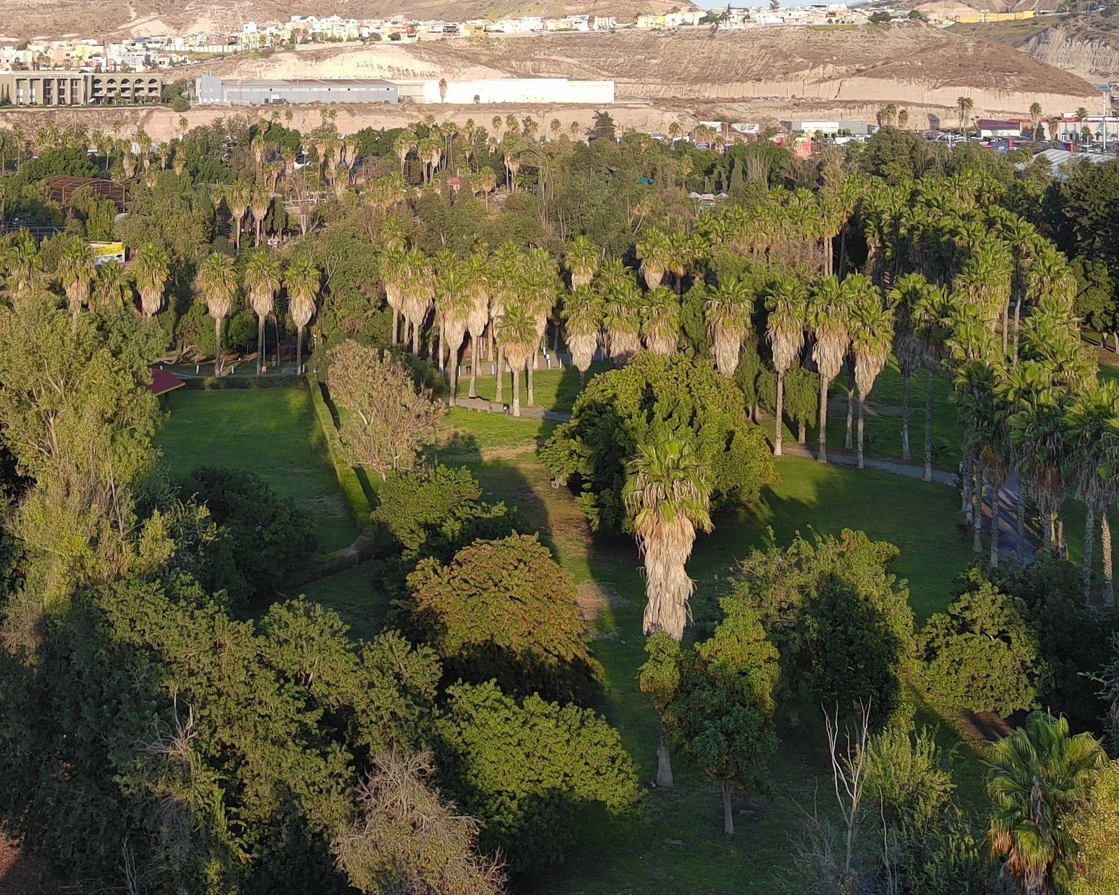 Abrirán parques administrados por el SIMPATT el día del amor y la amistad