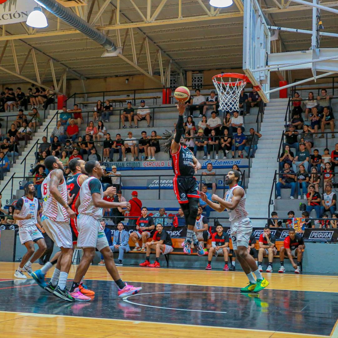 Zonkeys Rumbo a las Semifinales de CIBACOPA: ¡La Carrera Continúa!