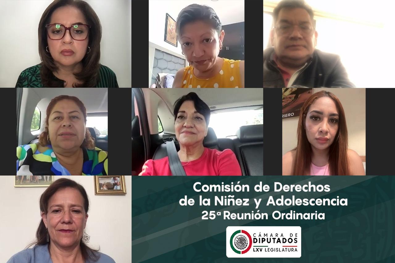 Comisión de Derechos de la Niñez y Adolescencia aprueba su informe final de actividades