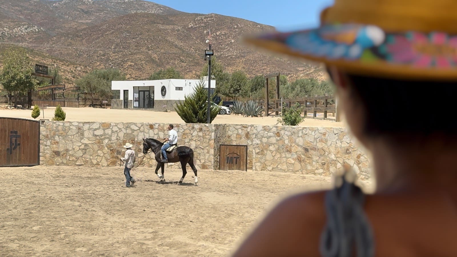 Celebrarán la “1era Feria del Caballo del Valle de Guadalupe”