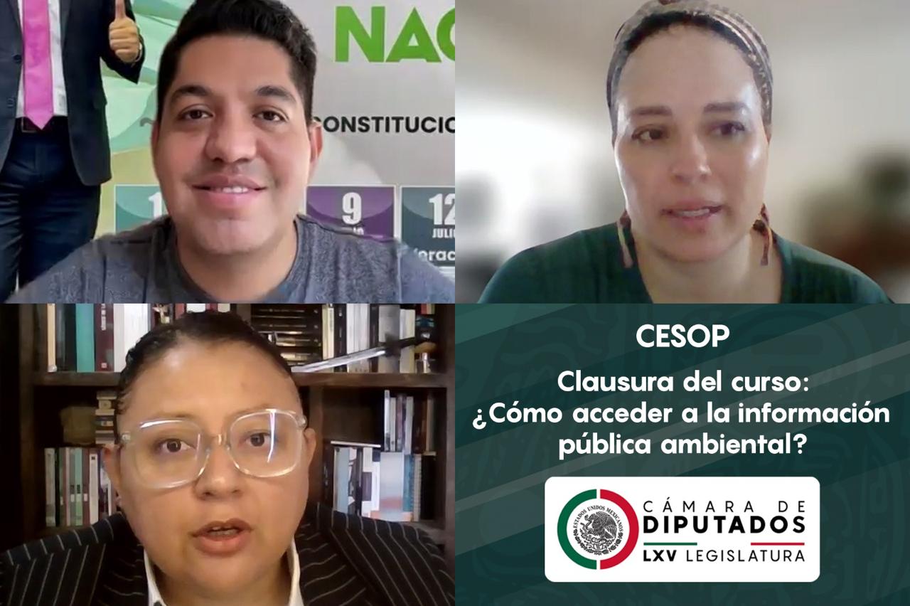 Concluye en la Cámara de Diputados el curso virtual “¿Cómo acceder a la información pública ambiental?”