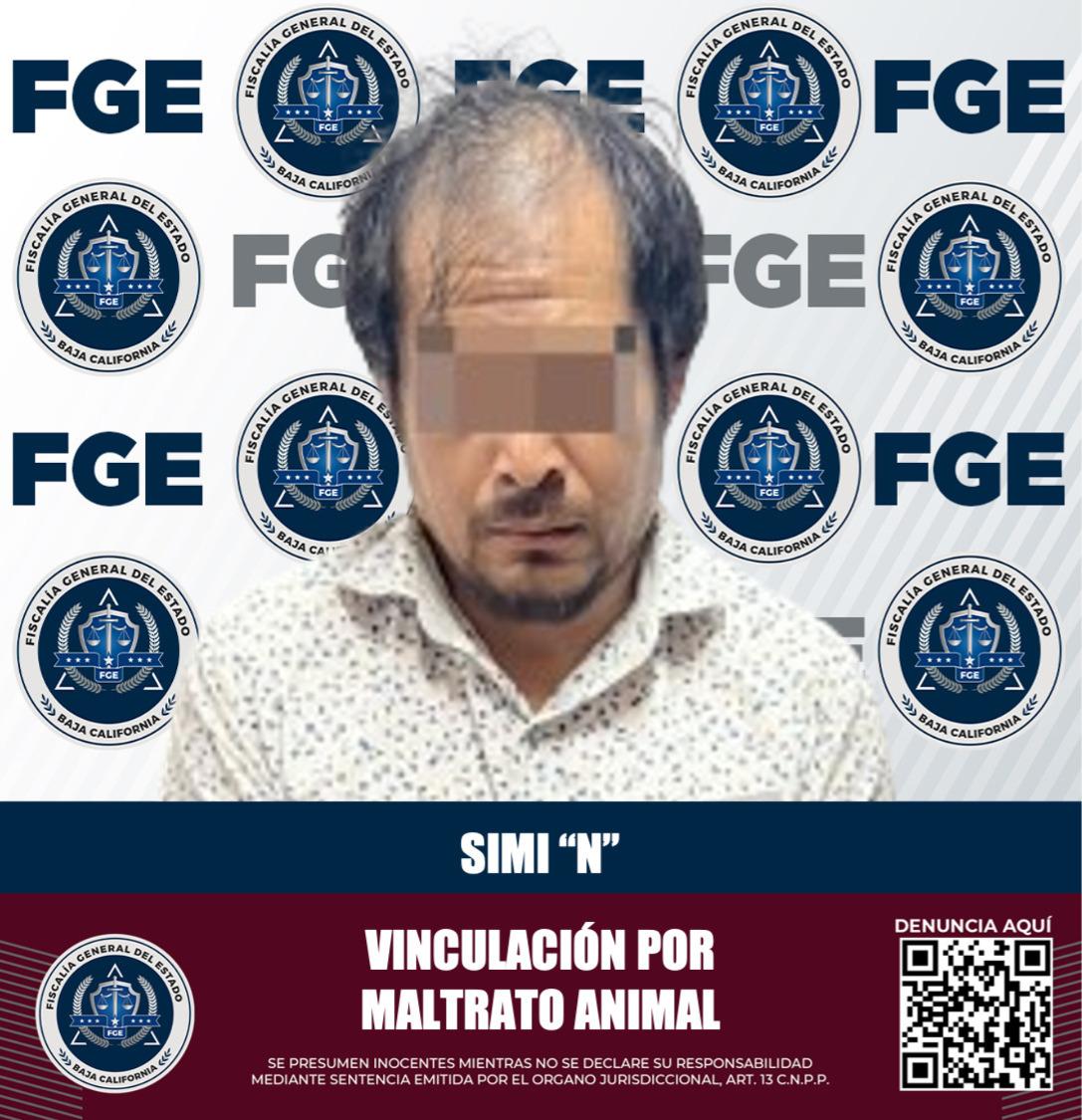 FGE logra prisión preventiva justificada por el delito de crueldad animal