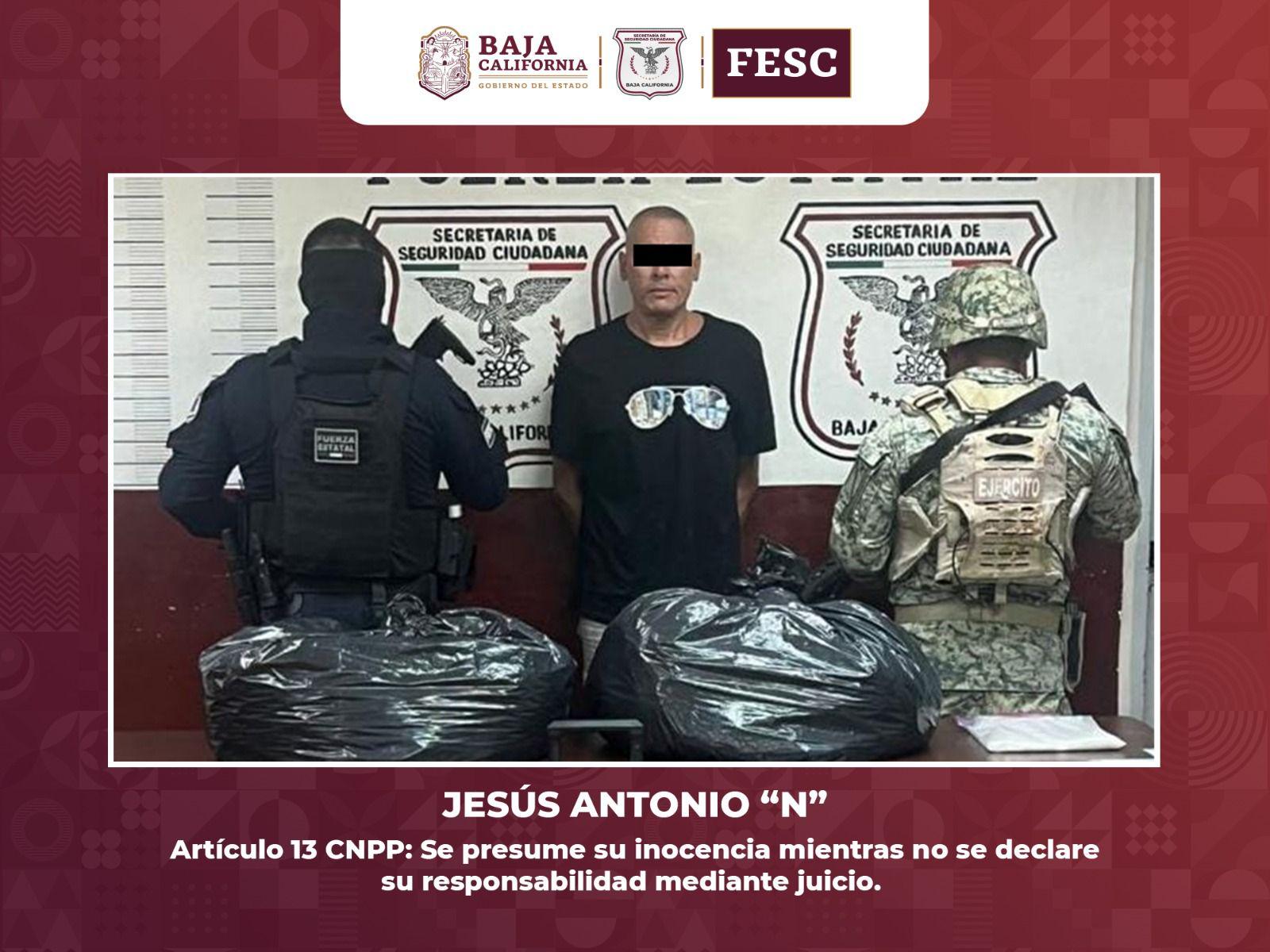 Decomisan FESC y SEDENA marihuana y metanfetamina en Tecate; Detienen a un hombre