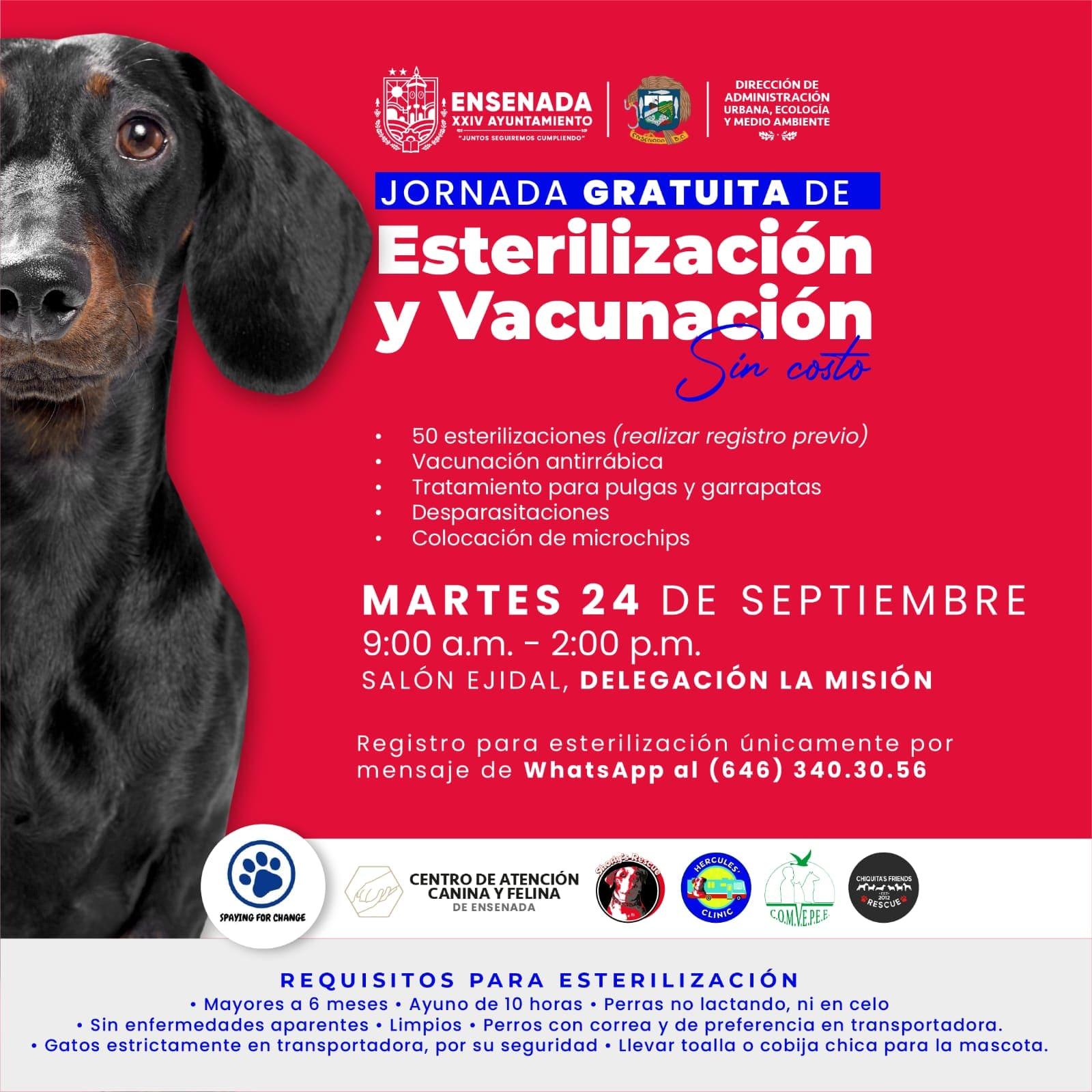 Invita Gobierno de Ensenada a jornada gratuita de esterilización en La Misión