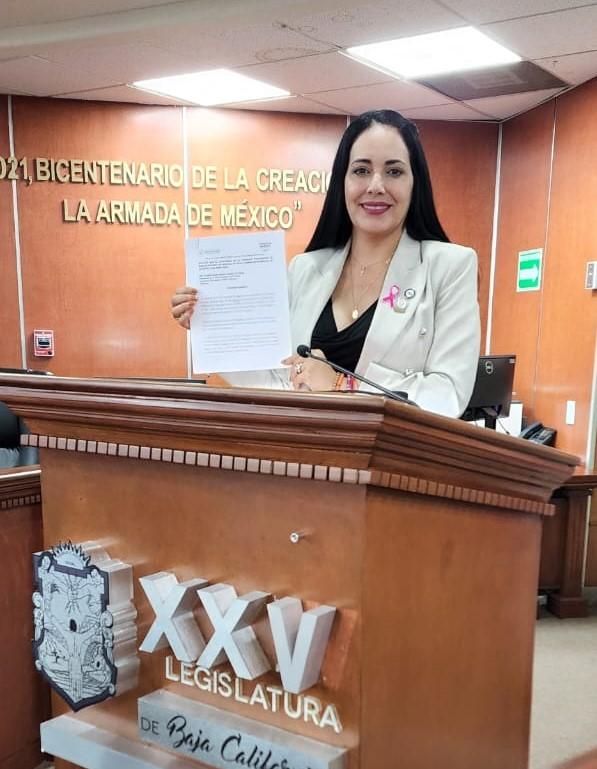 Presenta Dip. Mayola Gaona reforma a la ley orgánica del poder legislativo