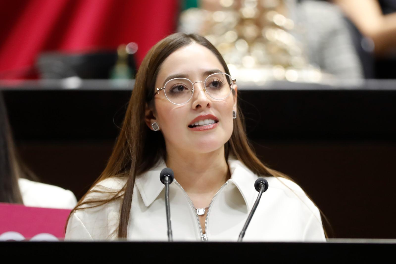 Proponen elevar a rango constitucional el derecho de toda persona a la protección de la salud “física y mental”