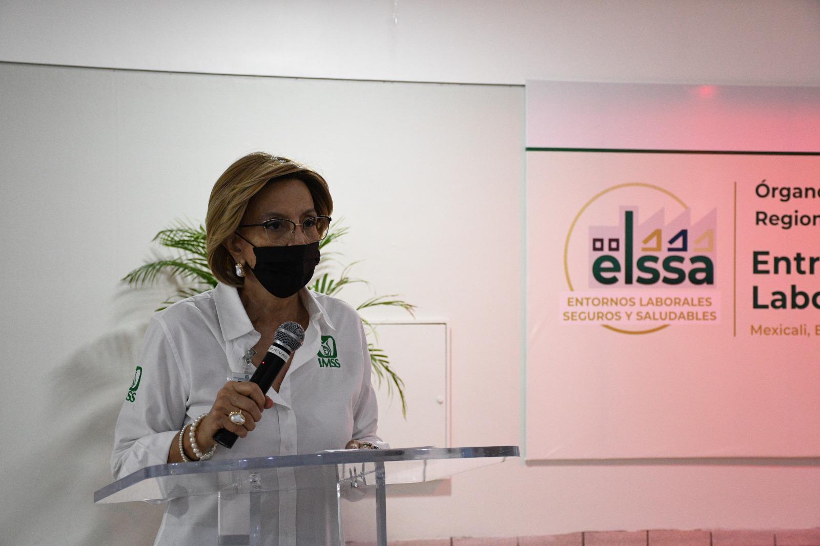 Entrega IMSS BC Distintivo ELSSA a 15 empresas