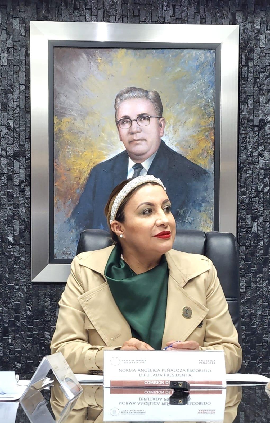 En comisión de justicia presidida por dip. Angélica Peñaloza aprueban dos proyectos de dictamen