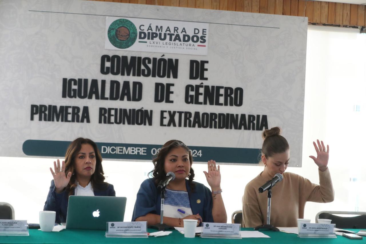 Comisión de Igualdad avaló dictamen para erradicar la brecha salarial de género, tanto en la vida profesional como laboral