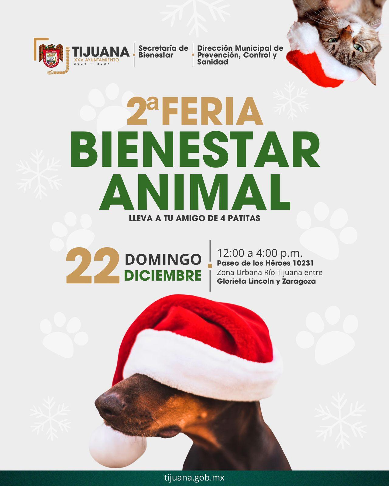 REALIZARÁ DMPCS SEGUNDA FERIA DE BIENESTAR ANIMAL Y ADOPCIÓN RESPONSABLE