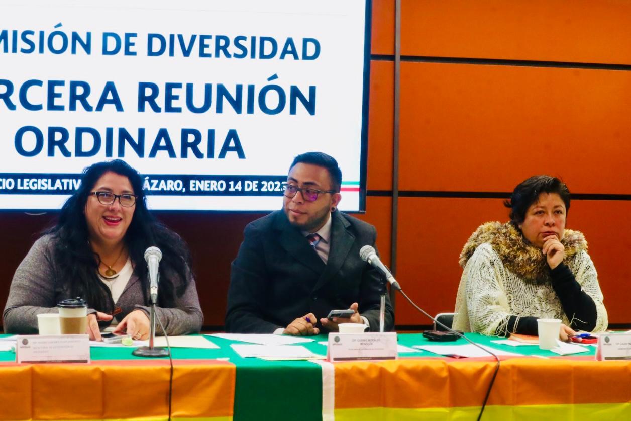 Comisión de Diversidad instalará grupo de trabajo con dependencias del Ejecutivo y organismos autónomos