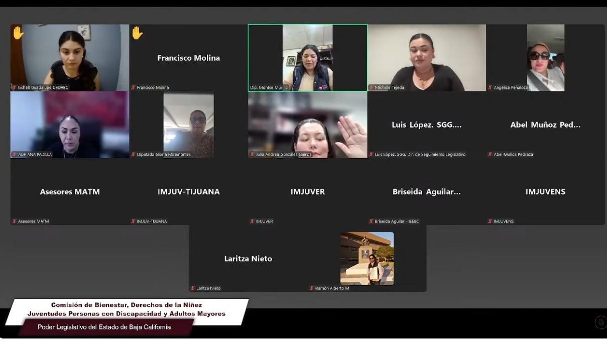 ENCABEZA DIP. MICHELLE TEJEDA INTEGRACIÓN DEL COMITÉ ORGANIZADOR DEL NOVENO PARLAMENTO DE JUVENTUDES