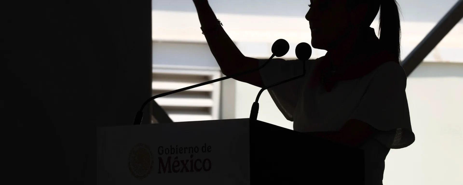 Mejía Berdeja llama a celebrar siete años de transformación y unidad nacional
