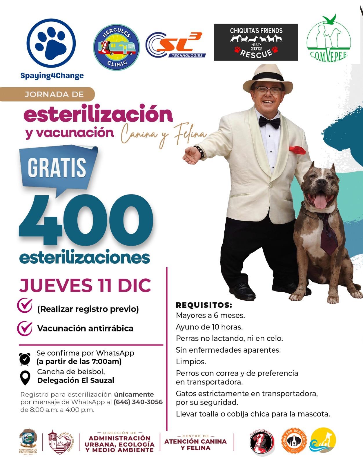 Consolidan Gobierno de Claudia Agatón y Shorty’s Rescue acciones a favor del bienestar animal