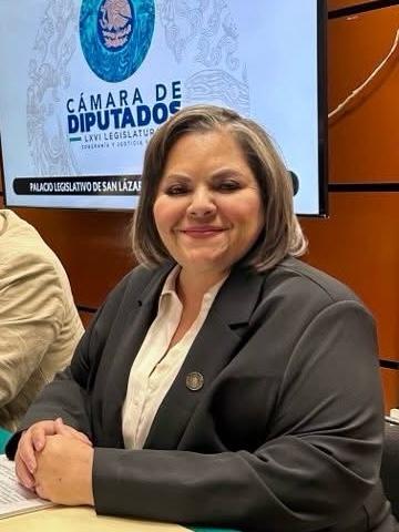 “Fortalecer Acciones Afirmativas Indígenas en Reforma Electoral”: Diputada Federal Evangelina Moreno