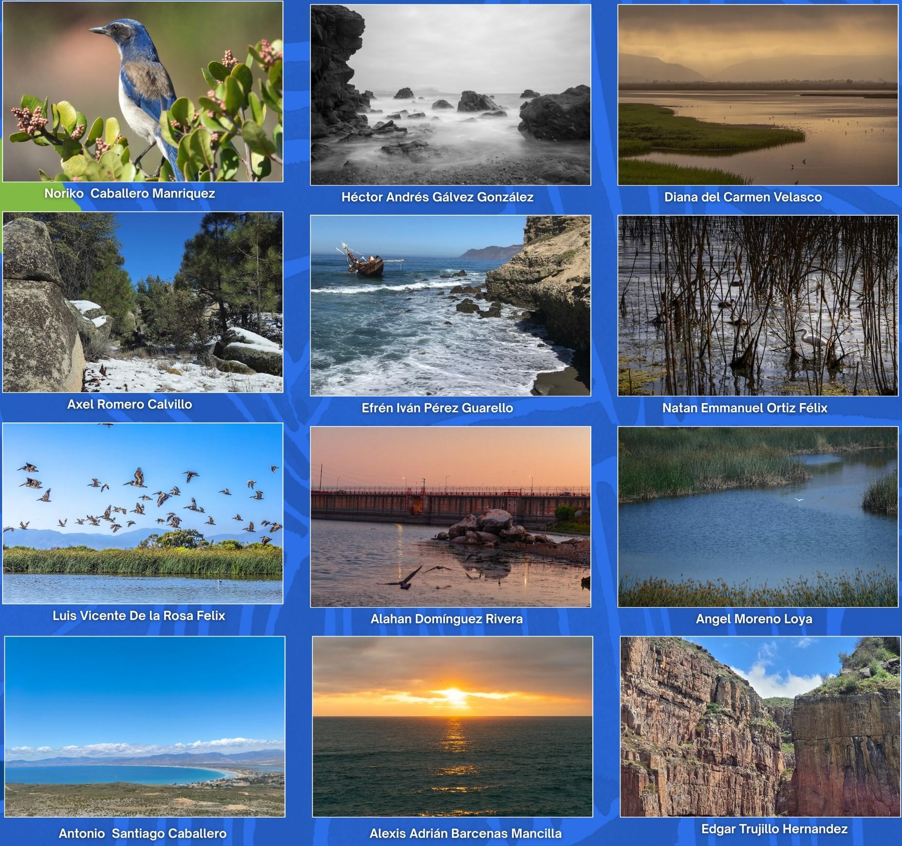 ECA LNG premia a los ganadores de su Concurso de Fotografía 2025 Rincones Naturales de Ensenada”