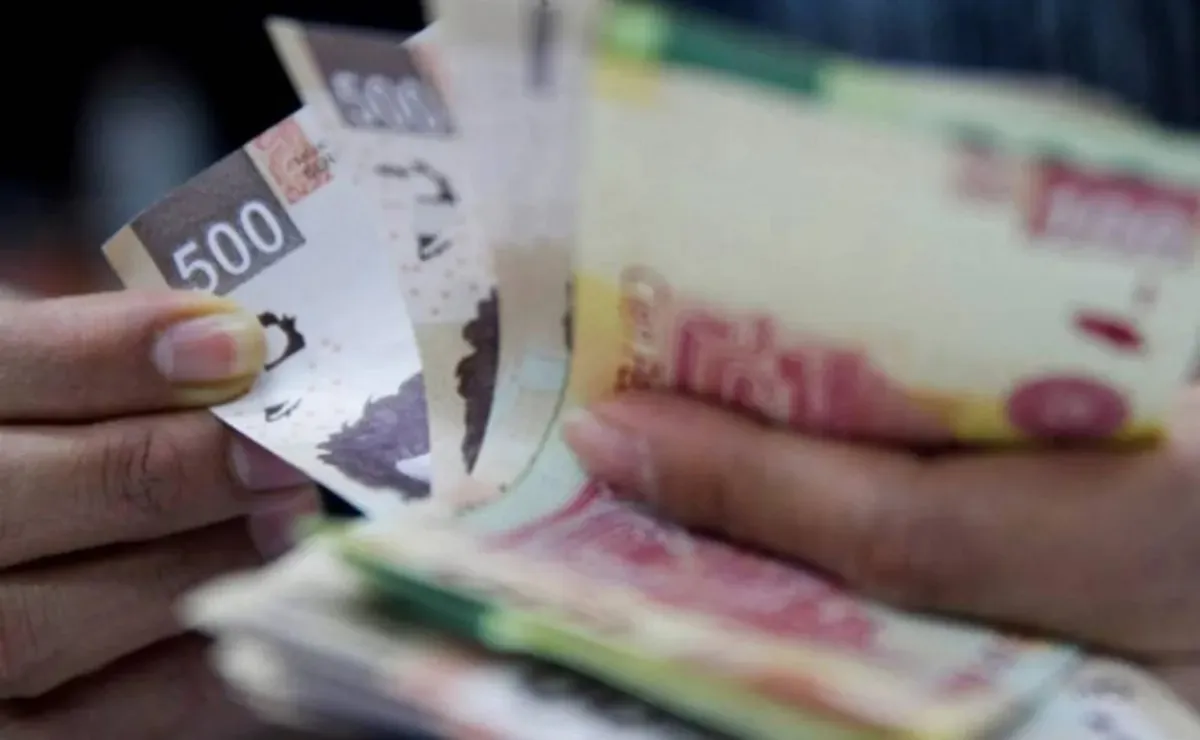Histórico aumento al salario mínimo a partir de 2026: Mejía Berdeja