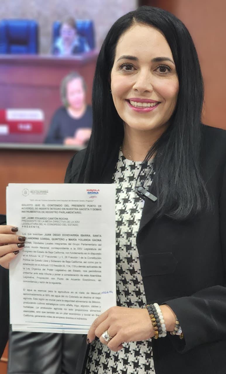 SOLICITA DIP. MAYOLA GAONA ELABORAR PRESUPUESTO DE EGRESOS 2026 CON UN ANÁLISIS EXHAUTIVO DE EJERCICIOS ANTERIORES