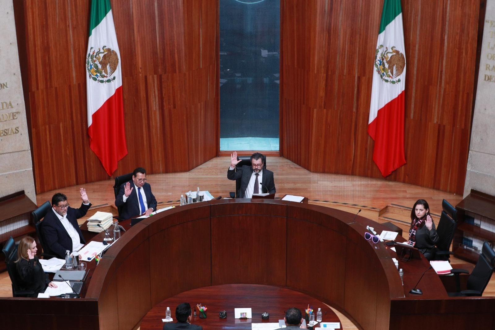 Militancia de Morena puede solicitar la renovación de la presidencia de su Instituto Nacional de Formación Política: TEPJF