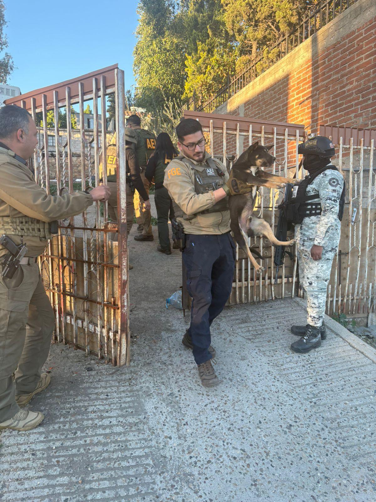 La fiscalía regional de Tecate rescata a tres caninos abandonados en un predio