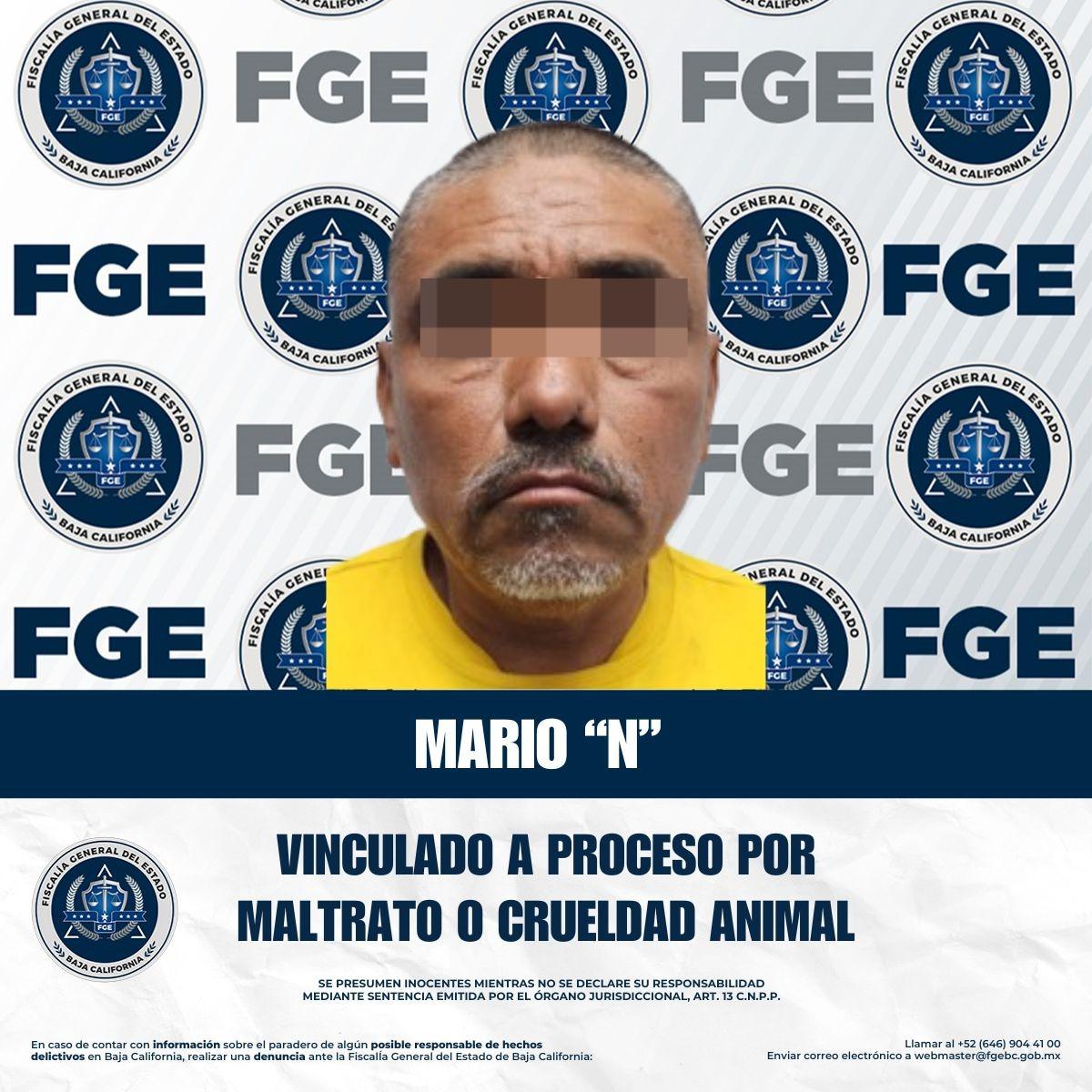 FGE logra vinculación a proceso por delito de crueldad animal