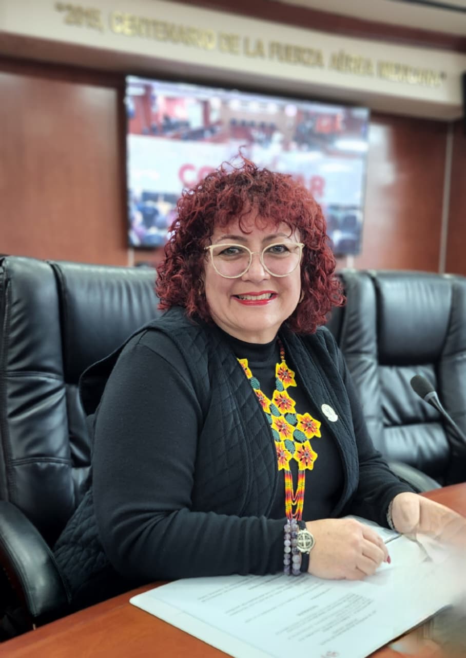 DIP. MAYTHÉ MÉNDEZ PROPONE QUE TODA INICIATIVA SEA VISIBLE Y ACCESIBLE EN LA PÁGINA DEL CONGRESO
