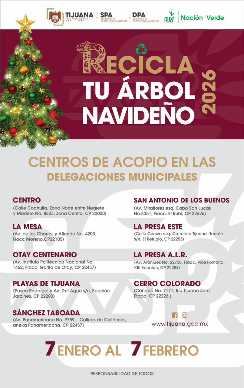 Exhorta Gobierno Municipal de Tijuana a aprovechar los últimos días de la campaña ‘Recicla tu Árbol Navideño 2026’