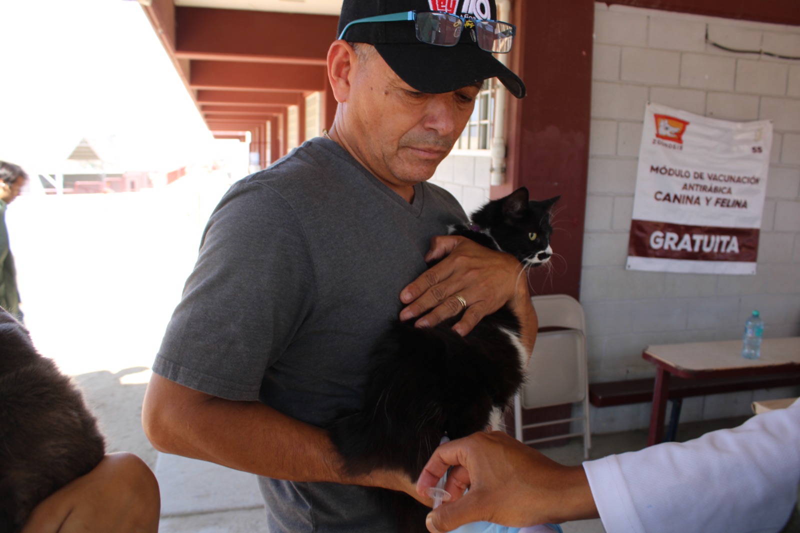 Invitan a mantener higiene en mascotas para prevenir enfermedades
