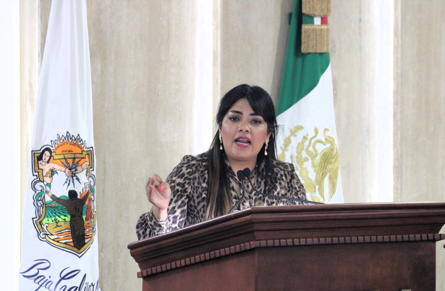 La garrapata, una amenaza sanitaria grave para la salud de las familias: diputada Montserrat Murillo