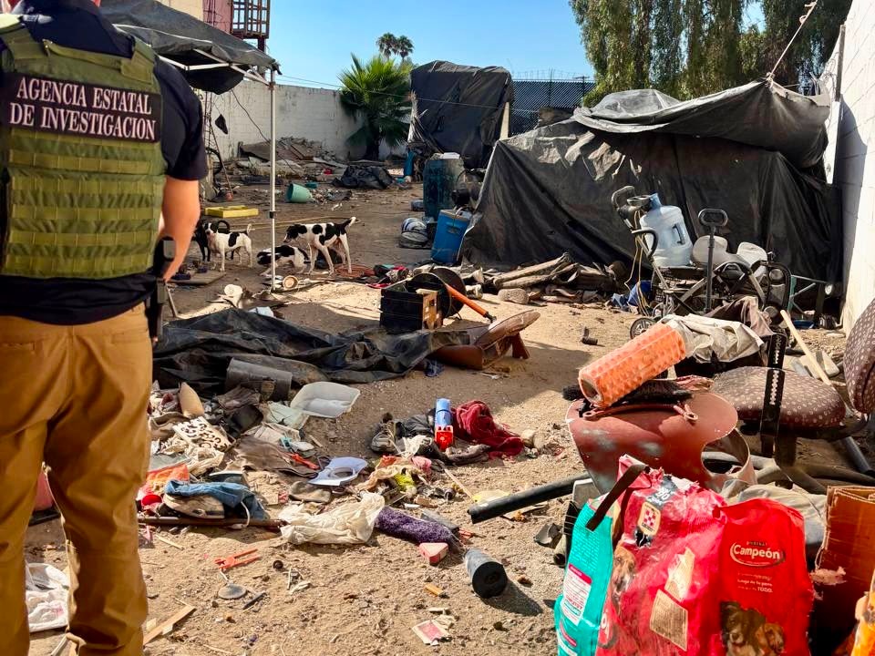 Fiscalía rescata a 21 caninos en presunto caso de maltrato animal